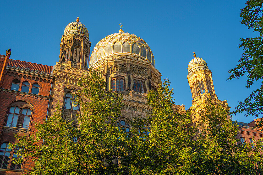 Blick auf die Neue Synagoge Berlin-Centrum Judaicum in der Oranienburger Straße,Berlin-Mitte,Berlin,Deutschland,Europa