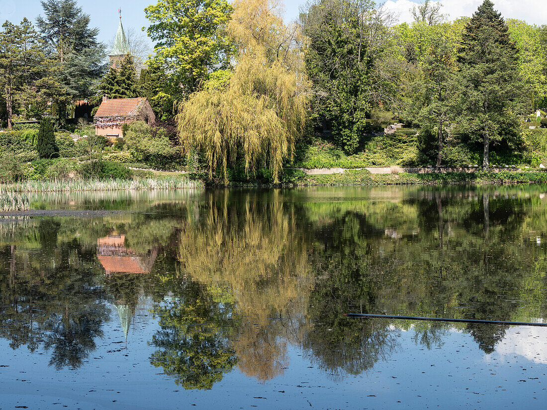 Lake in the grounds of the Louisiana Museum of Modern Art,Humlebaek,Copenhagen,Denmark,Scandinavia,Europe