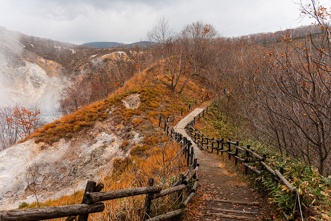 Wanderweg durch den Herbstwald mit dem dampfenden Vulkantal von Noboribetsu auf der linken Seite,Hokkaido,Japan,Asien