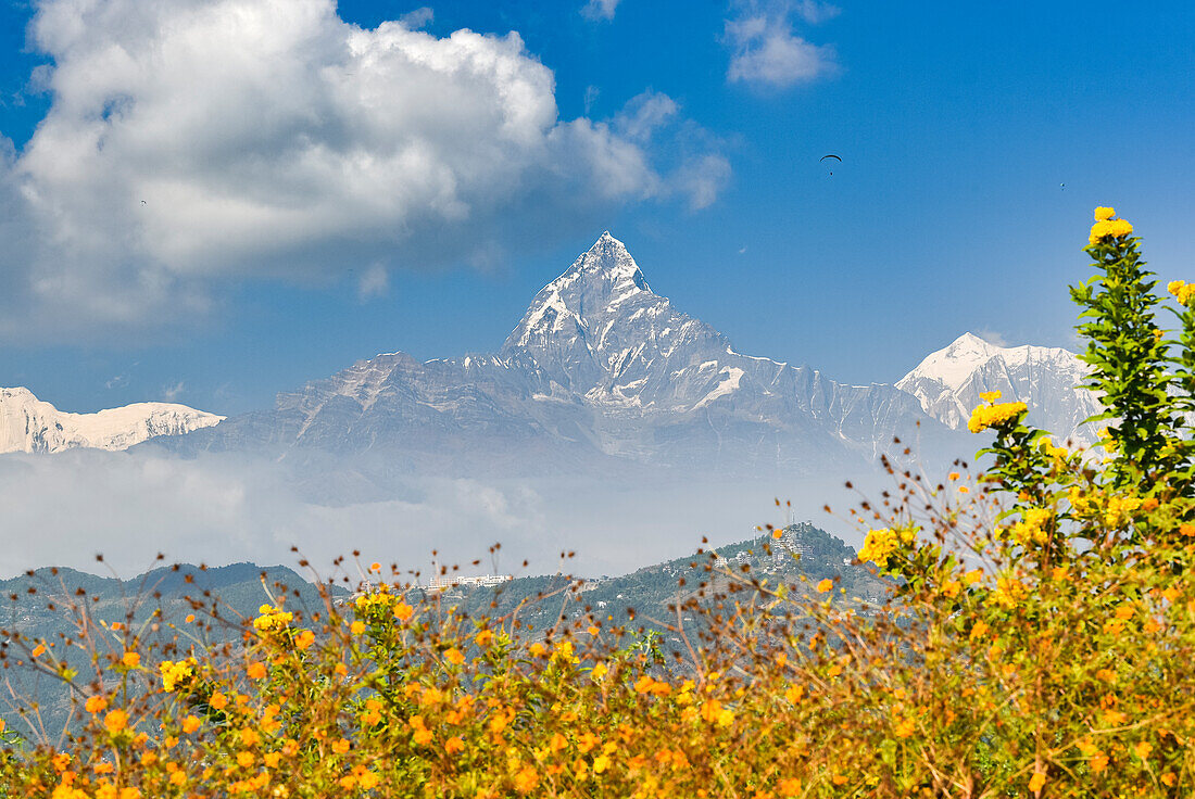 Blick auf die Annapurna-Gipfel von der World Peace Stupa, Pokhara, Nepal, Himalaya, Asien