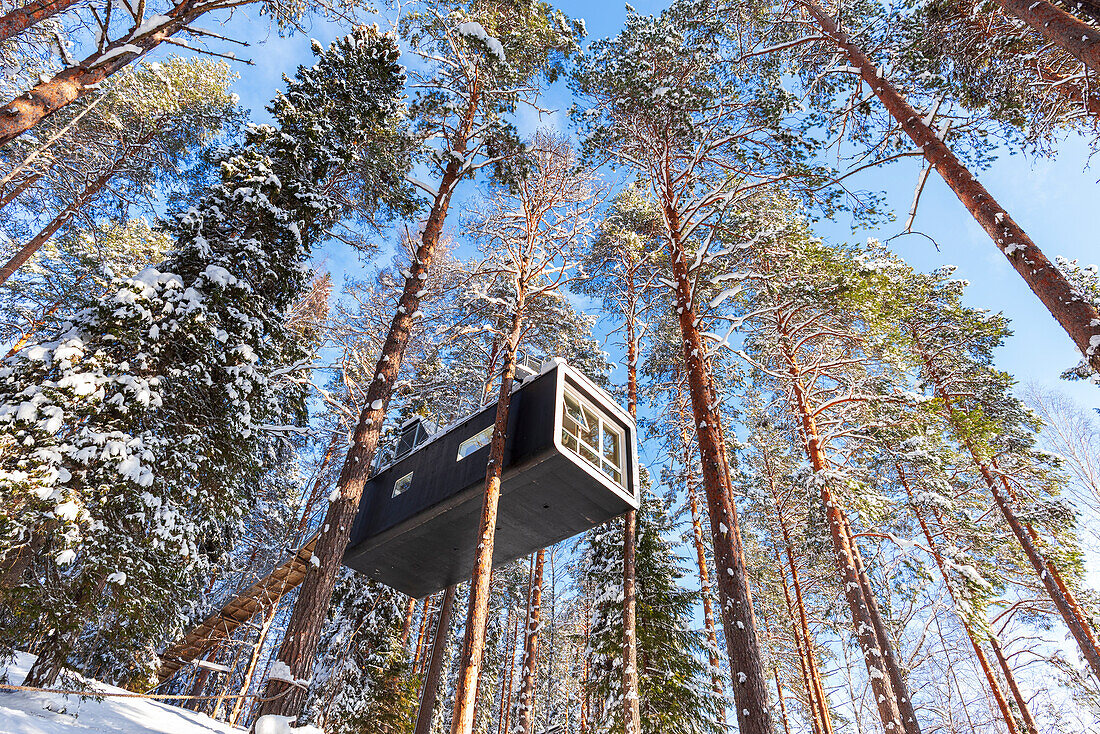 Modernste Unterkunft in einem verschneiten Wald mit hohen, schneebedeckten Bäumen in Schwedisch-Lappland, Baumhotel, Harads, Lappland, Schweden, Skandinavien, Europa