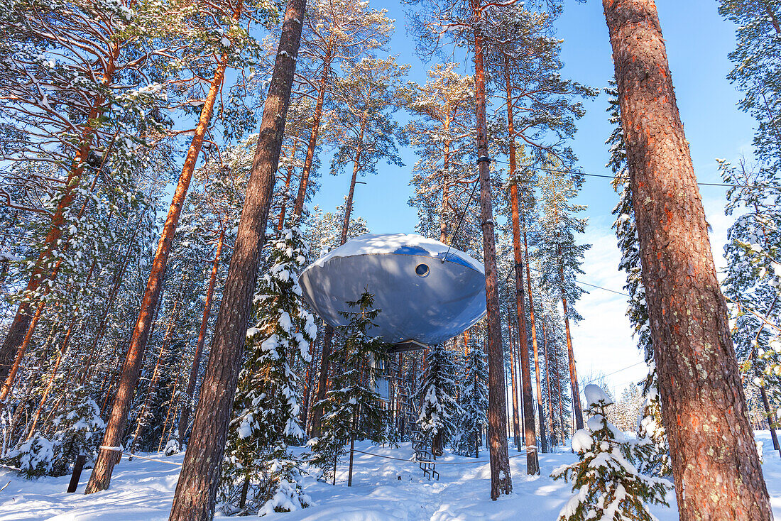 Winteransicht eines UFO-förmigen Zimmers inmitten schneebedeckter hoher Bäume, Baumhotel, Harads, Lappland, Schweden, Skandinavien, Europa