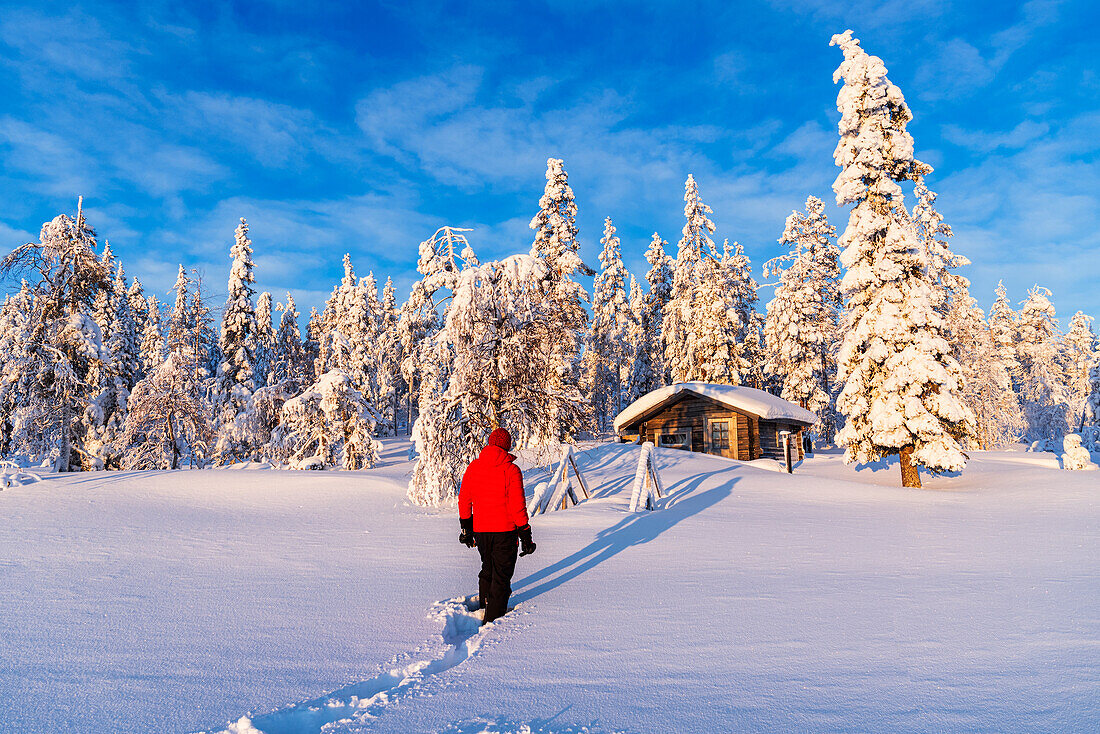 Person steht vor einer einsamen Berghütte zwischen schneebedeckten Bäumen, Schwedisch-Lappland, Norrbotten, Schweden, Skandinavien, Europa