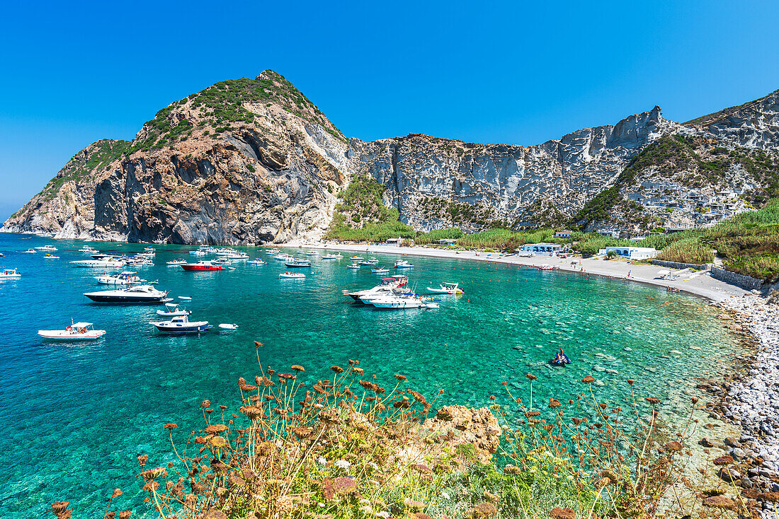 Palmarola bay with boats in crystal clear water,Palmarola island,Ponza municipality,Tyrrhenian sea,Pontine archipelago,Latina Province,Latium (Lazio),Italy,Europe