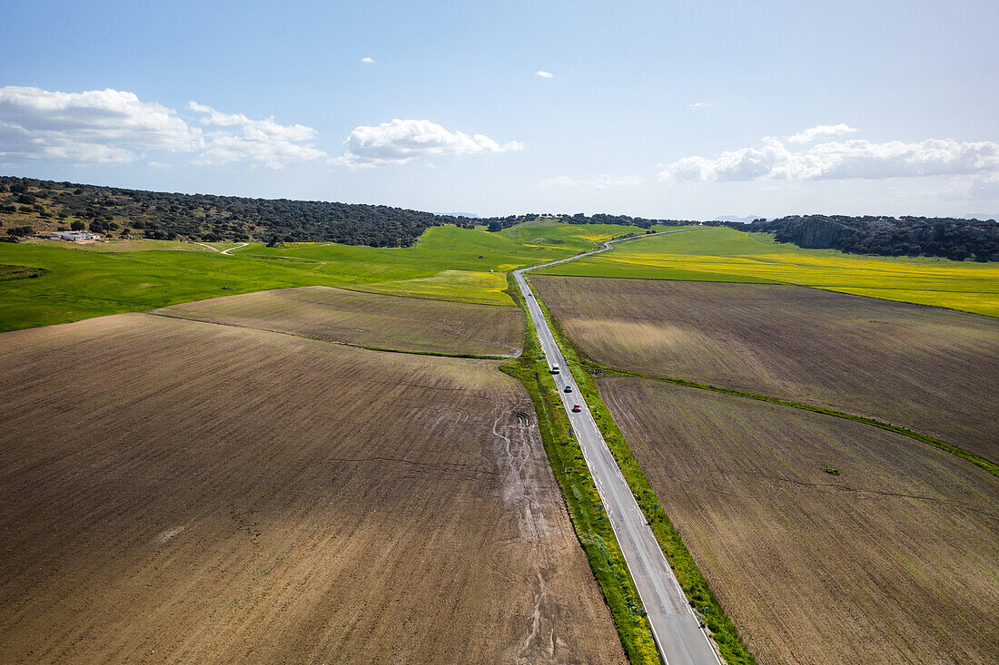 Drohnen-Luftaufnahme einer Straße in einer Landschaft mit gelben Blumen, Spanien, Europa