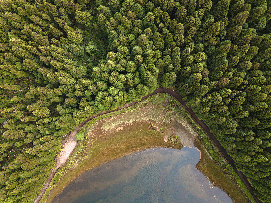 Luftaufnahme des Sees Lagoa Empadadas und einiger Pinienbäume, Insel Sao Miguel, Azoren, Portugal, Atlantik, Europa