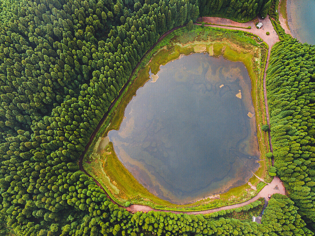 Aerial view of Lagoa Empadadas lake and some pine trees,Sao Miguel island,Azores islands,Portugal,Atlantic,Europe