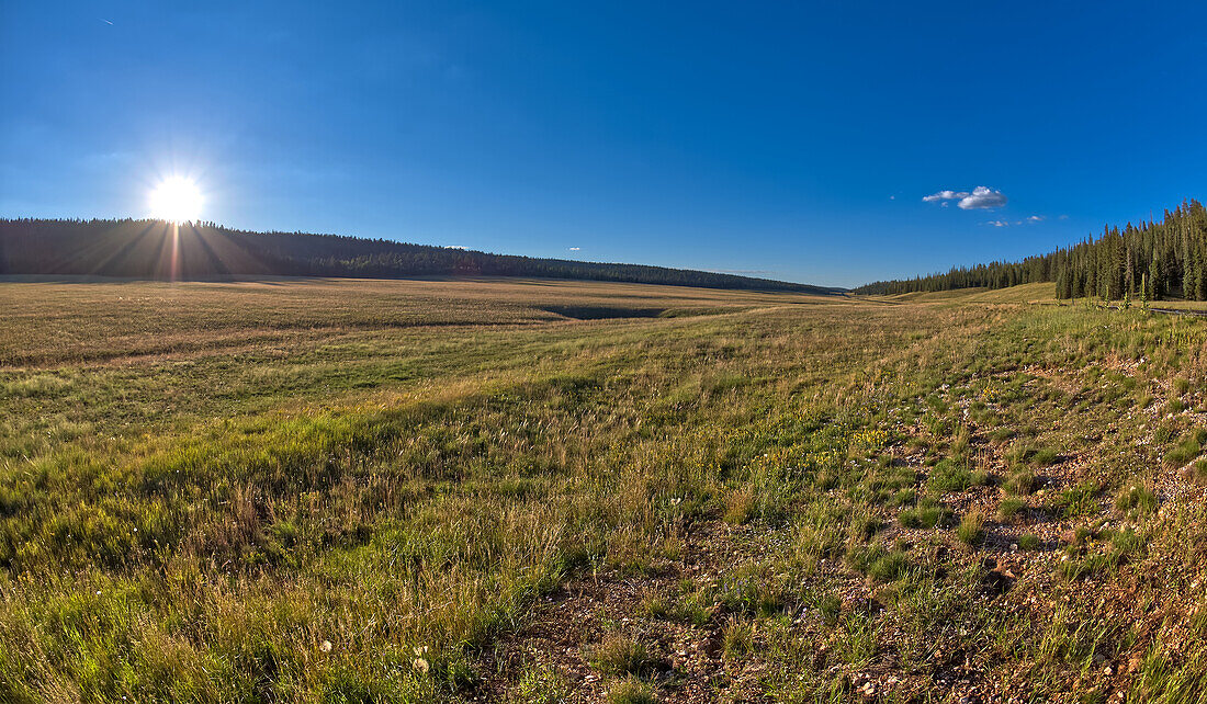 Pleasant Valley near sunset in the Kaibab National Forest just north of Grand Canyon North Rim,Arizona,United States of America,North America