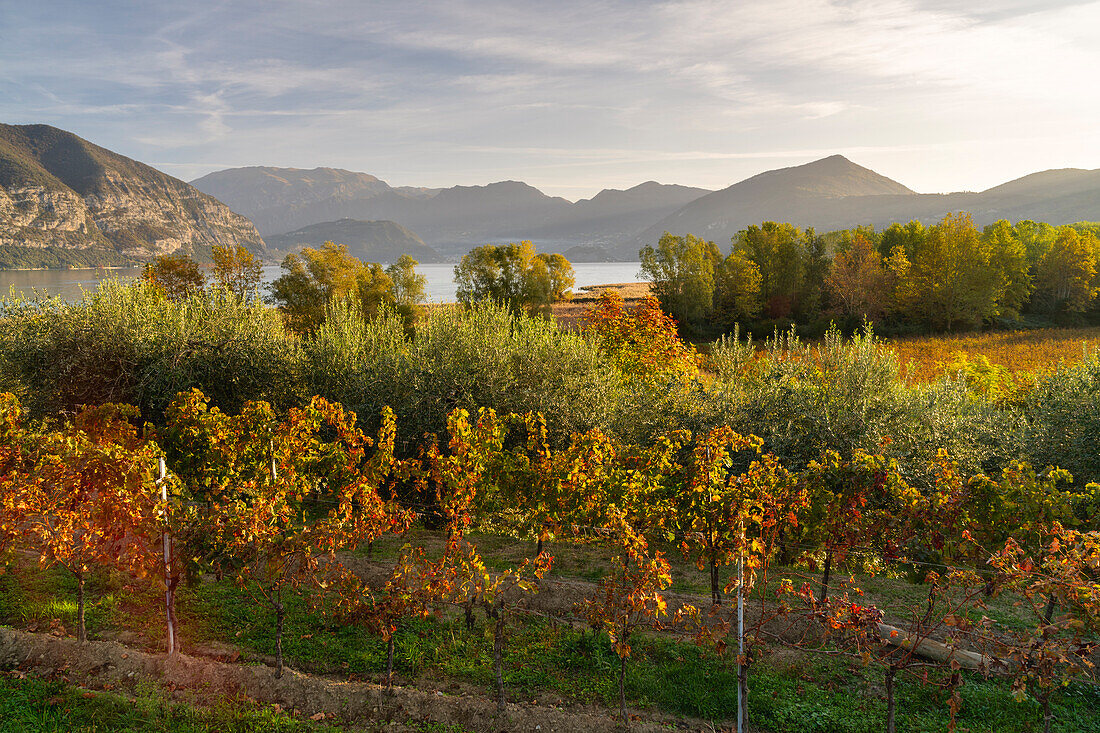 Landschaft der Region Franciacorta in der Provinz Brescia, Lombardei, Italien, Europa