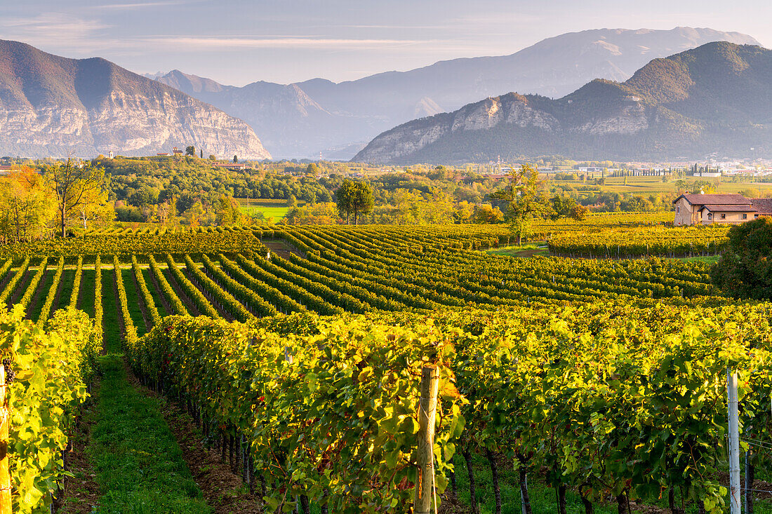 Landscape of Franciacorta region in Brescia province,Lombardy,Italy,Europe