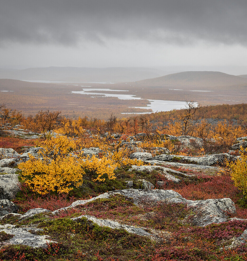 View looking towards Tarvantovaara Wilderness Area with silver birch in autumn colour,Finland,Europe
