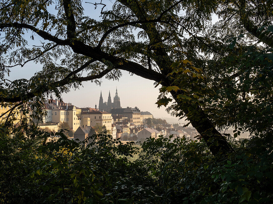 Prague Castle and St. Vitus Cathedral in morning sunlight,UNESCO World Heritage Site,Prague,Czechia (Czech Republic),Europe