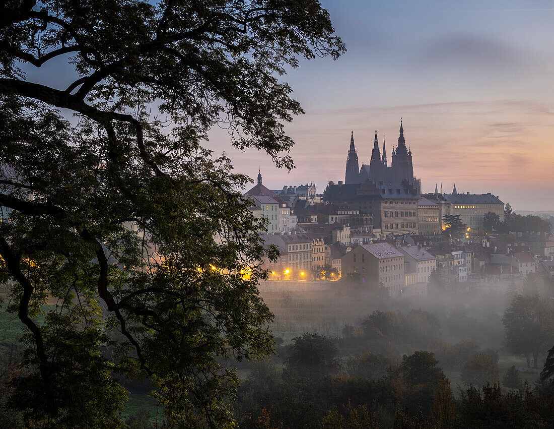 Prague Castle and St. Vitus Cathedral at dawn from Petrin Hill,UNESCO World Heritage Site,Prague,Czechia (Czech Republic),Europe