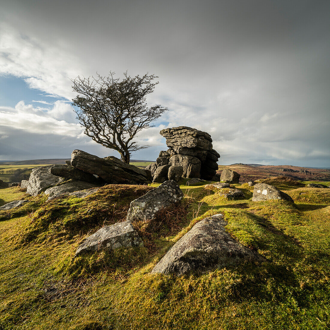 Abendlicht auf Emsworthy Rocks, Dartmoor National Park, Devon, England, Vereinigtes Königreich, Europa