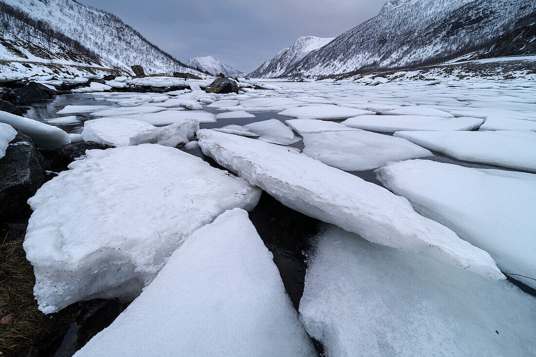 Eisblöcke in Sifjordbotn, Senja, Troms og Finnmark, Norwegen, Skandinavien, Europa