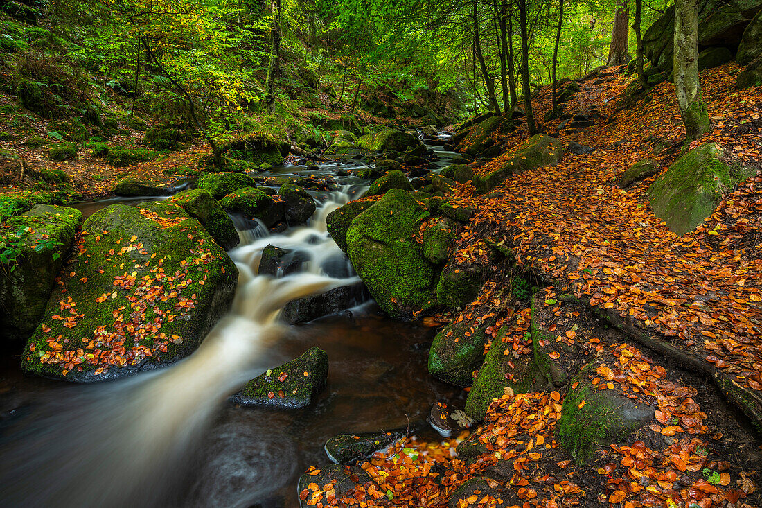 Wasserfall und Pfad,Herbstfarbe,Wyming Brook,Peak District National Park,Derbyshire,England,Vereinigtes Königreich,Europa