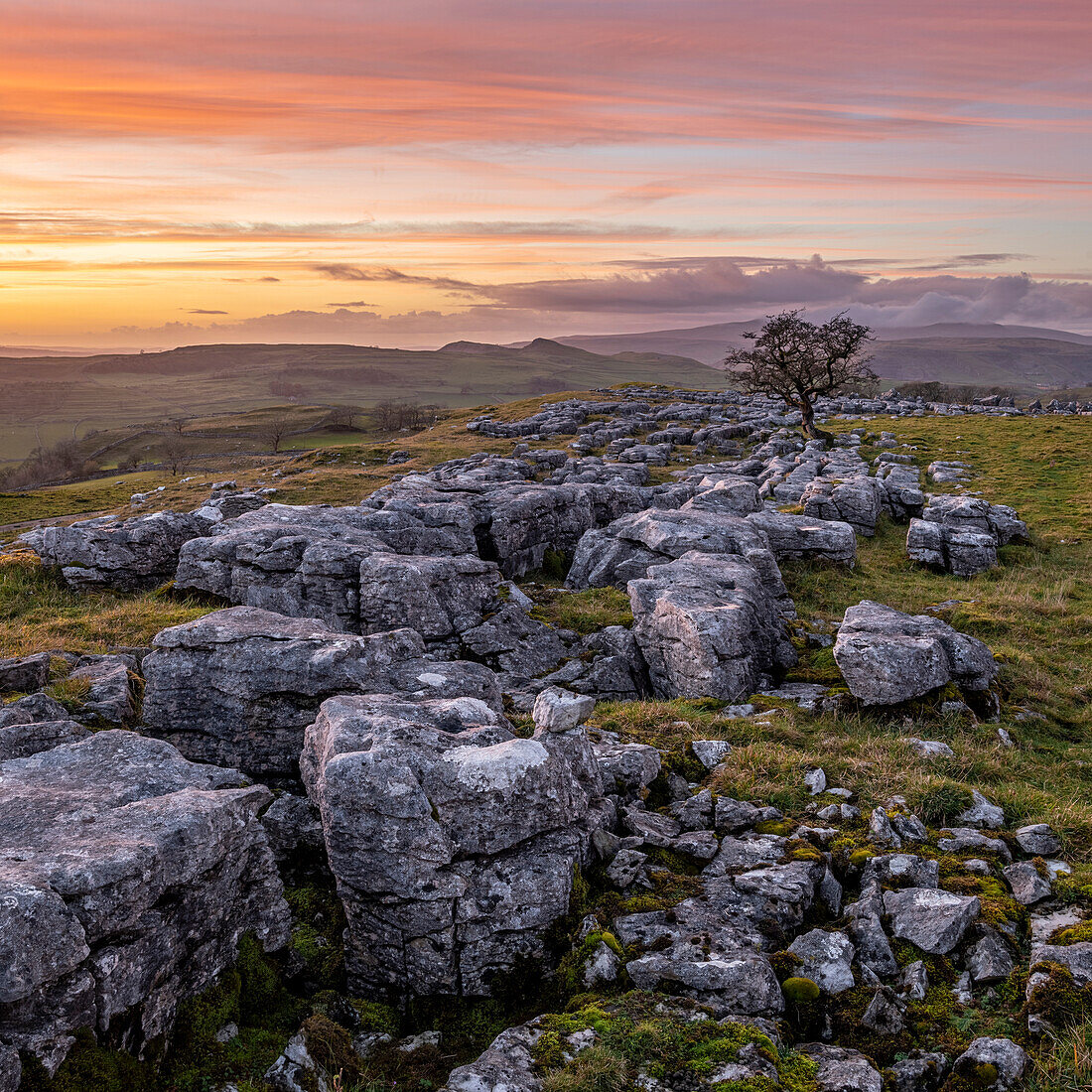 Winskill Stones Naturreservat und Weißdorn bei Sonnenuntergang, Yorkshire Dales, Yorkshire, England, Vereinigtes Königreich, Europa