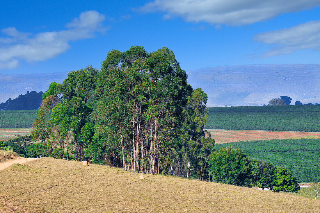 Serra da Canastra landscape,Sao Roque das Minas,Minas Gerais state,Brazil,South America