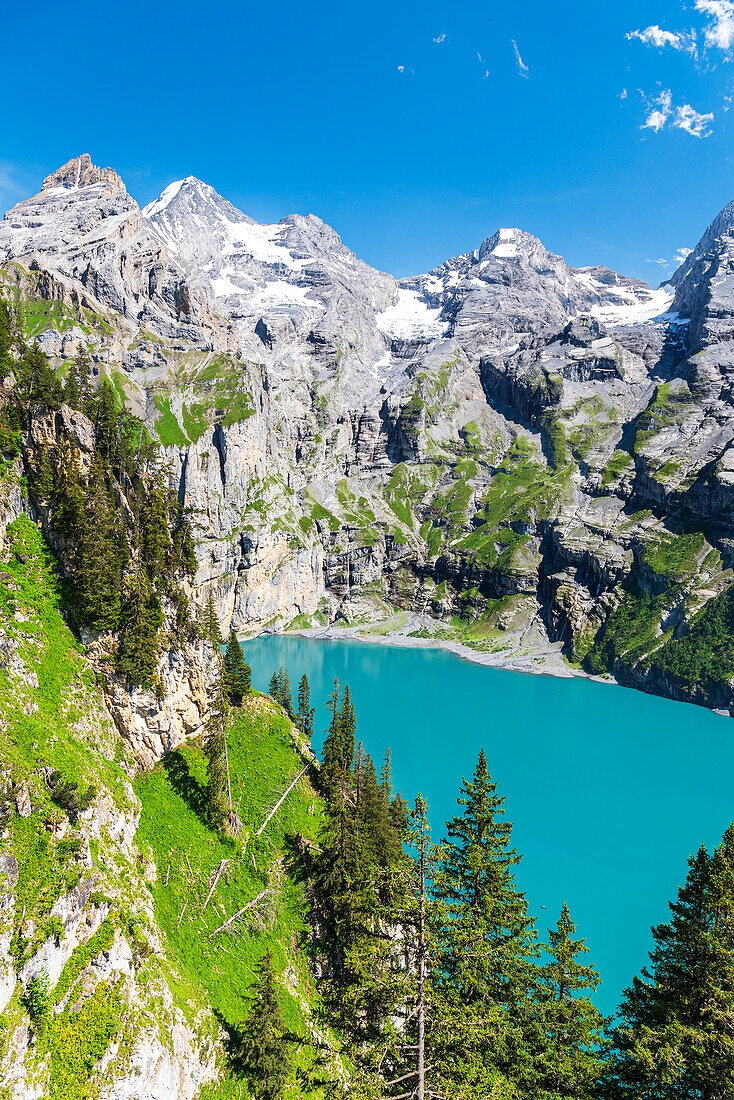 Blick von oben auf das kristallblaue Wasser des Oeschinensees zwischen Tannen und schneebedeckten Alpengipfeln, Oeschinensee, Kandersteg, Kanton Bern, Schweiz, Europa
