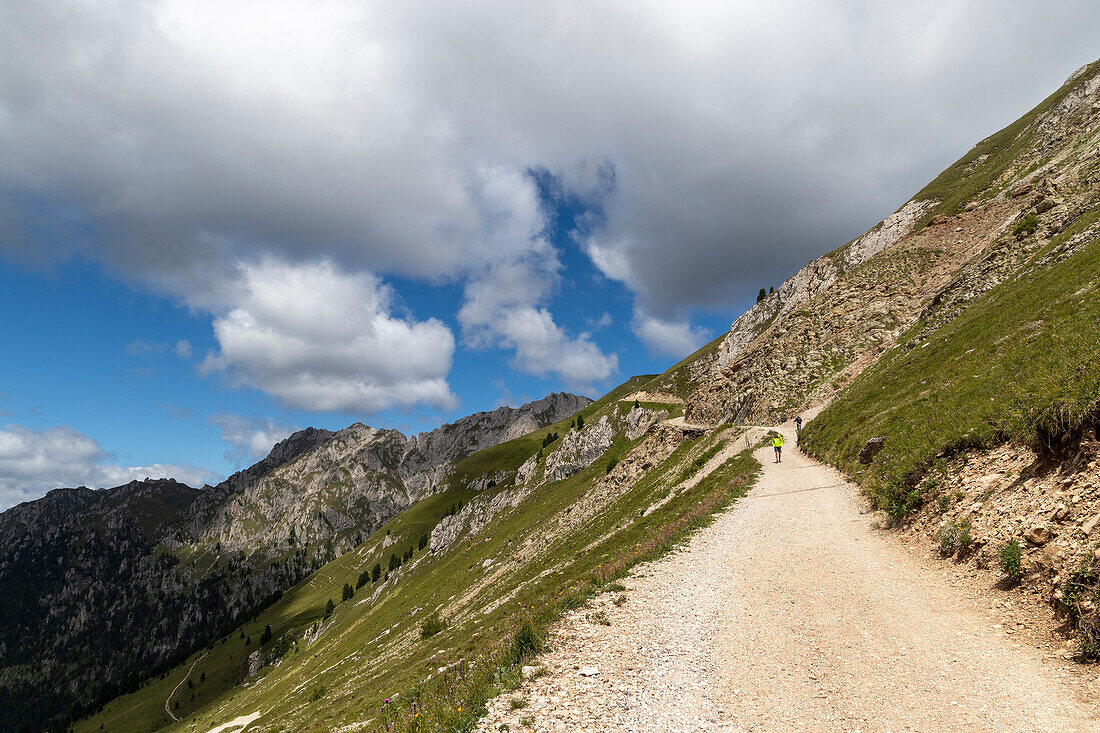 Naturpark Puez-Geisler,Fichtental,Bezirk Bozen,Südtirol,Italien,Europa