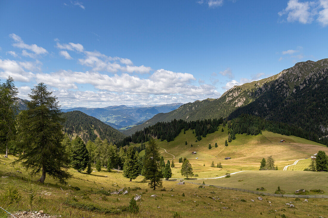Naturpark Puez-Geisler,Fichtental,Bezirk Bozen,Südtirol,Italien,Europa