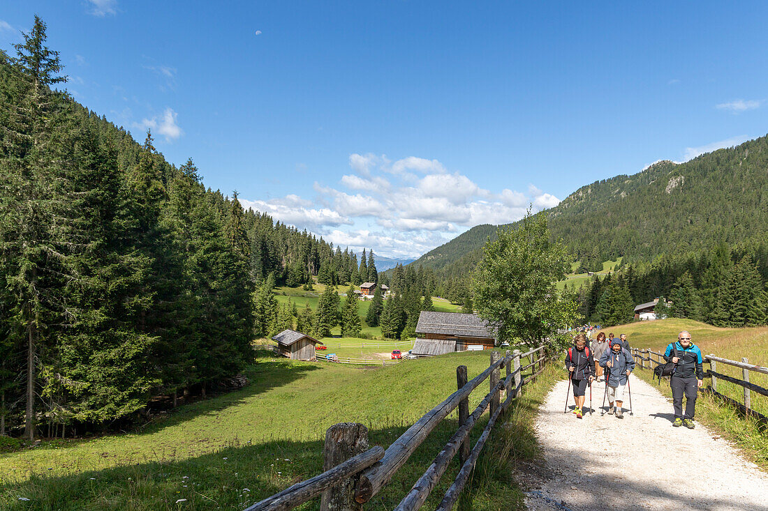 Naturpark Puez-Geisler,Fichtental,Bezirk Bozen,Südtirol,Italien,Europa
