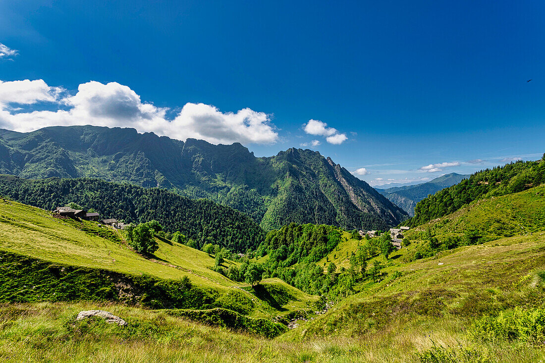 The bucolic landscape of Val Mastellone in summer,Rimella,Valsesia,Vercelli district,Piedmont,Italy,Europe