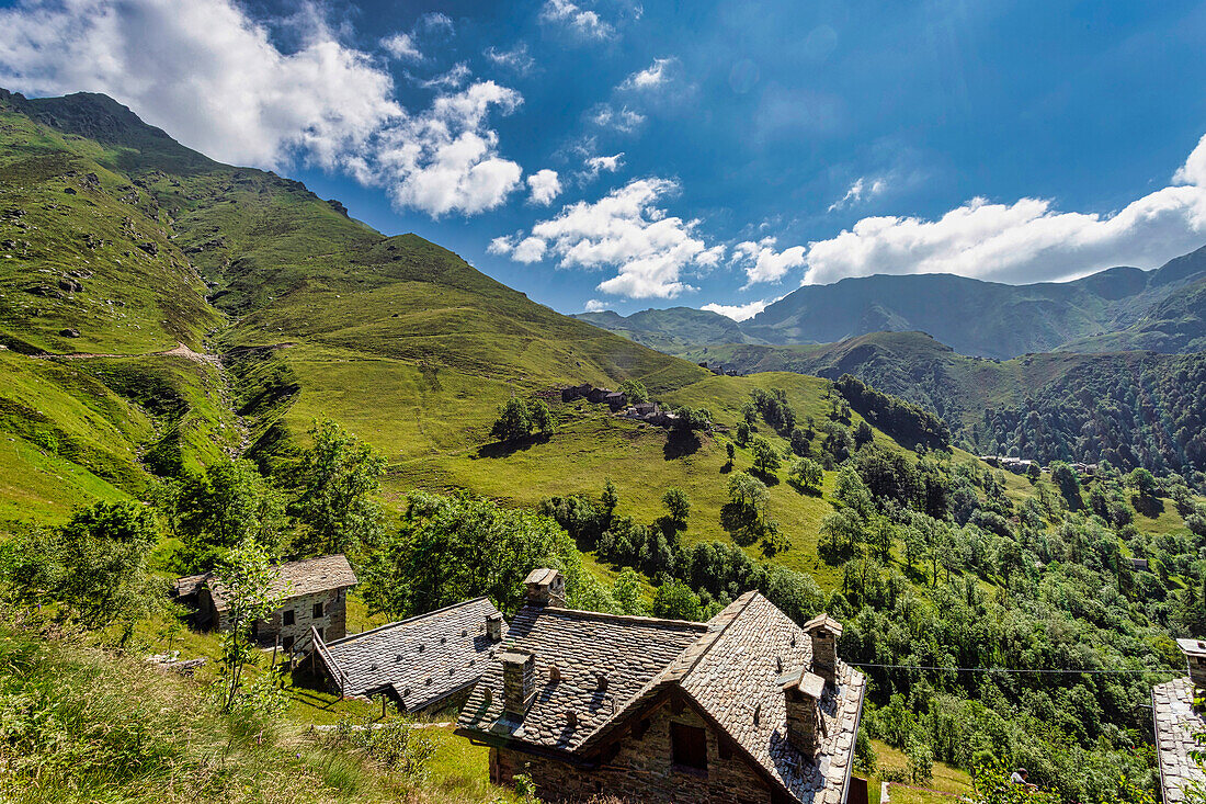 The bucolic landscape of Val Mastellone in summer,Rimella,Valsesia,Vercelli district,Piedmont,Italy,Europe