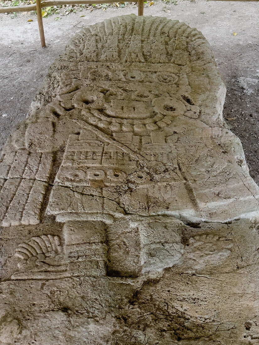 Stela 11 in Plaza B in the Mayan ruins in Yaxha-Nakun-Naranjo National Park,Guatemala.