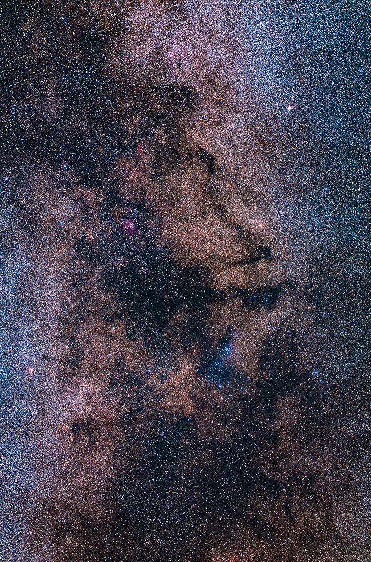This is the region of the Milky Way that extends from southern Cygnus at top down into Vulpecula and Sagitta at bottom. Below centre is the Coathanger asterism,aka Brocchi's Cluster or Cr399. Above it is the blue reflection nebula Sharpless 2-83. The magenta emission nebula above and to the left is NGC 6820. A small red nebula above it is Sharpless 2-88. The bright star at upper right is Albireo in Cygnus.