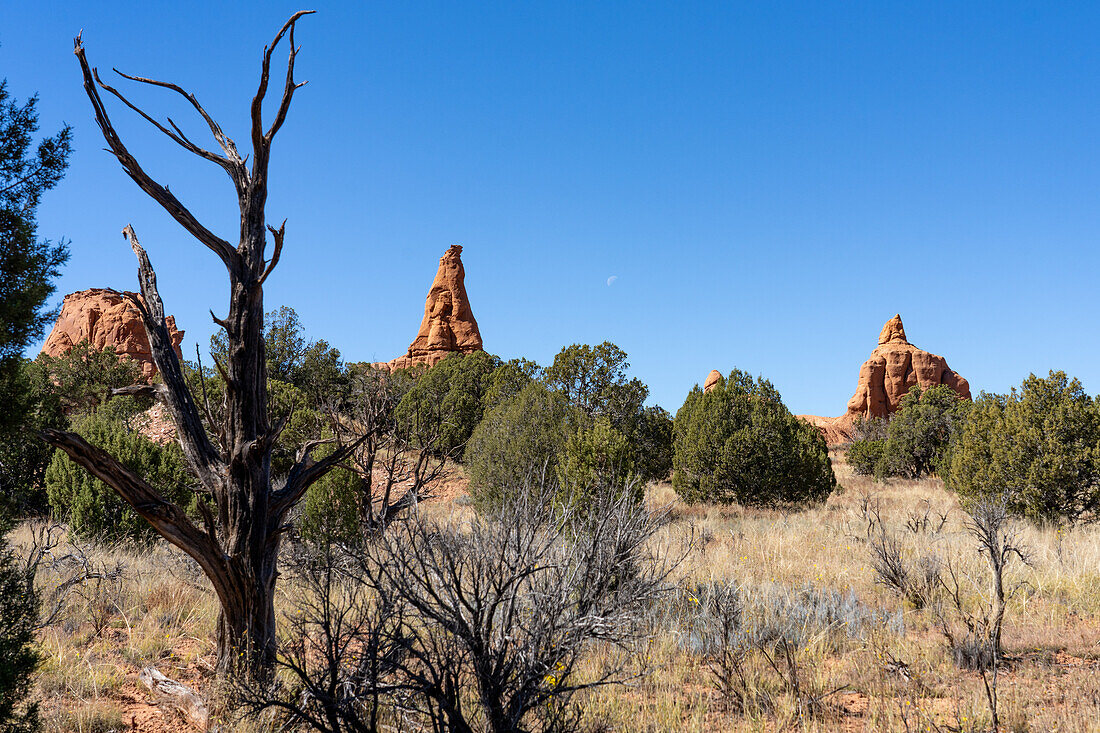 Der Mond und erodierte Sandsteinformationen im Kodachrome Basin State Park in Utah.