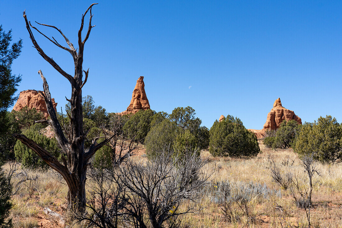 The moon and eroded sandstone formations in Kodachrome Basin State Park in Utah.