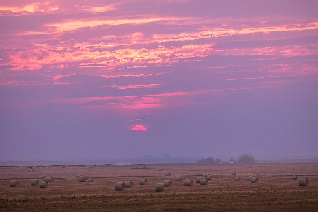 Die Sonne geht am rauchigen und wolkenverhangenen Himmel über dem soeben abgeernteten Getreidefeld unter, in der Nähe meines Hauses im Süden von Alberta. Tatsächlich arbeiteten die Erntemaschinen auf dem Feld, als ich dies aufnahm. Das war am 3. September 2023.