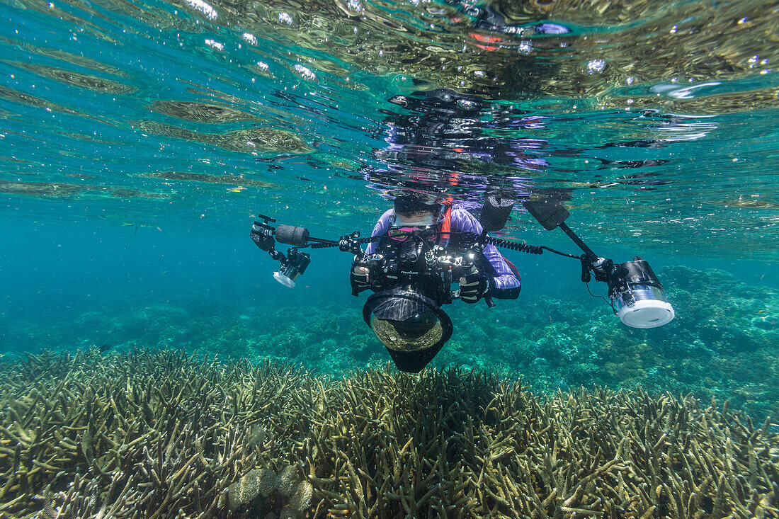 Unterwasserfotograf in kristallklarem Wasser in den flachen Riffen vor Bangka Island, vor der nordöstlichen Spitze von Sulawesi, Indonesien, Südostasien, Asien