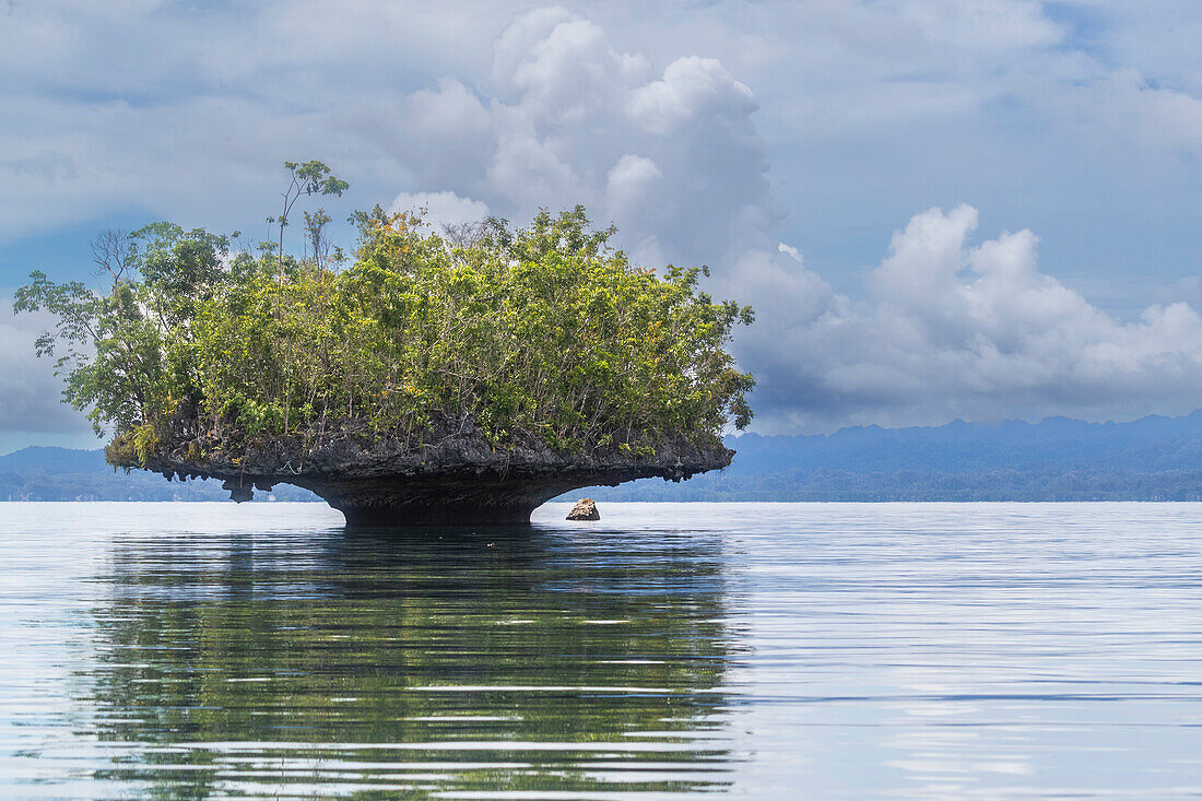 Ein Blick auf Kalksteininseln mit Vegetation, Gam Island, Raja Ampat, Indonesien, Südostasien, Asien