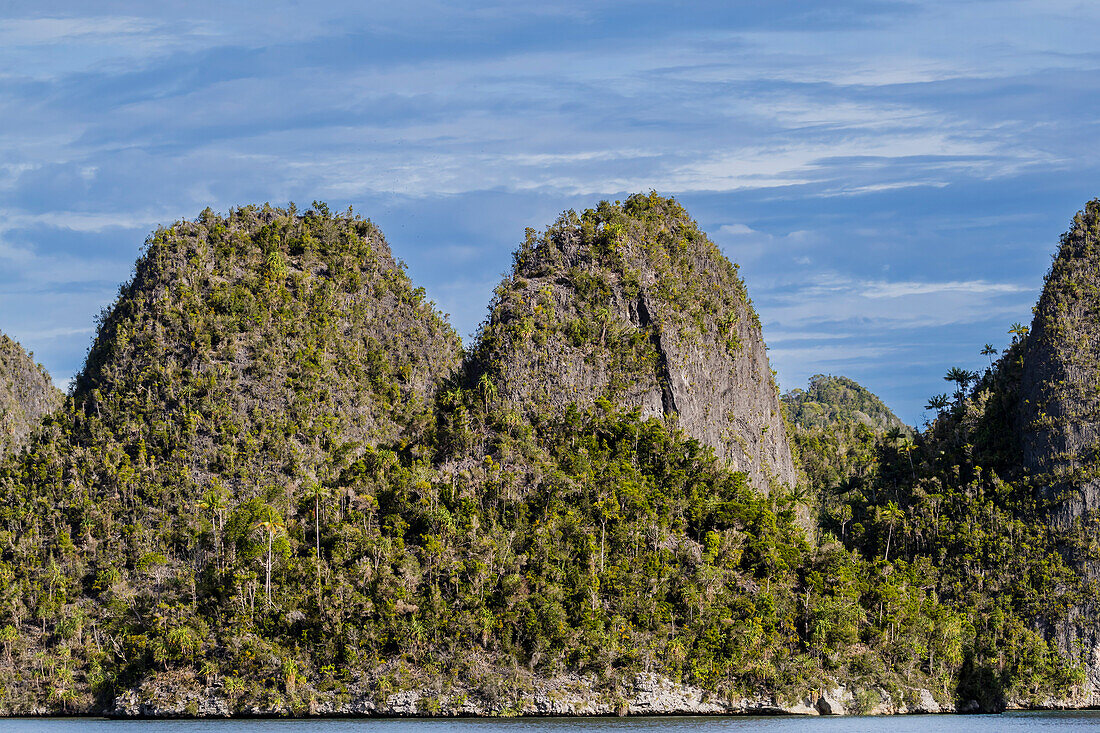 Blick auf bewachsene Inselchen im geschützten Naturhafen in der Wayag-Bucht, Raja Ampat, Indonesien, Südostasien, Asien