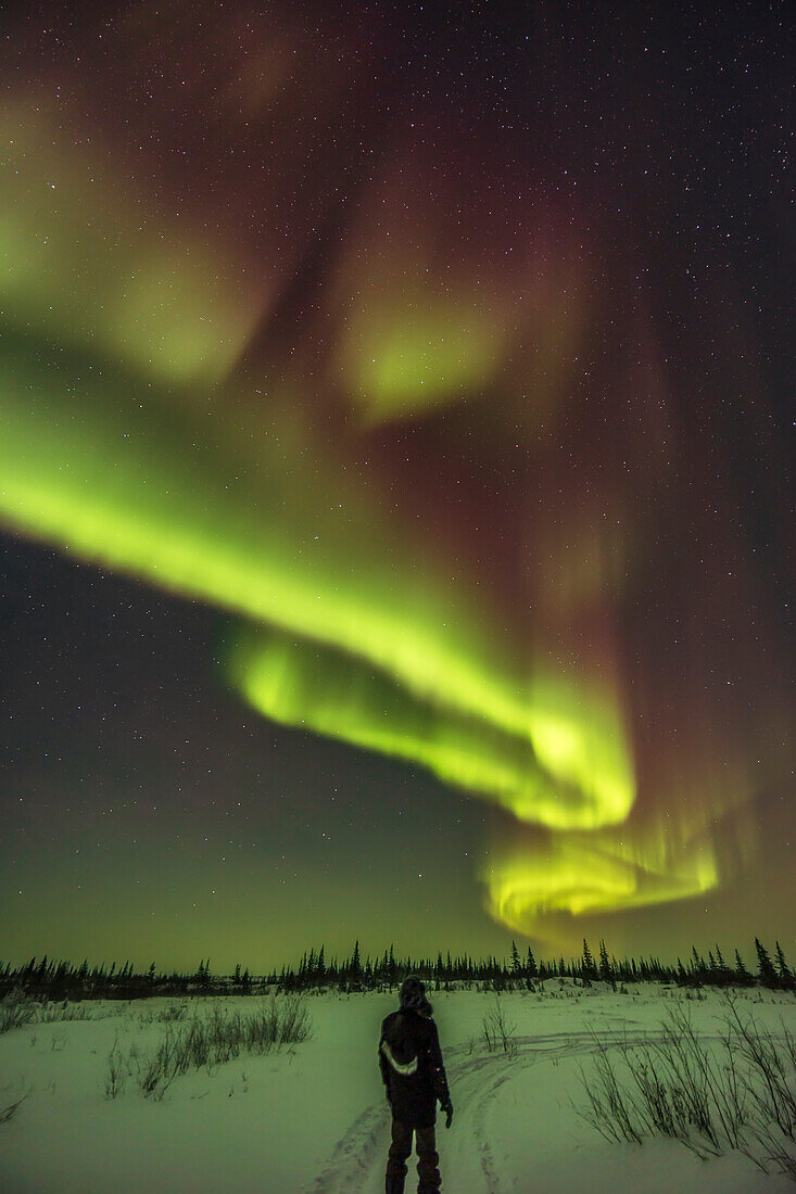 Ein Polarlicht-Selfie unter dem Bogen des Nordlichts am 22. Februar 2023 auf dem Weg vor dem Churchill Northern Studies Centre in Churchill, Manitoba. Es handelte sich um eine Kp5-Anzeige in dieser Nacht, die zwischen 20:30 und 21:30 Uhr ihren Höhepunkt erreichte.