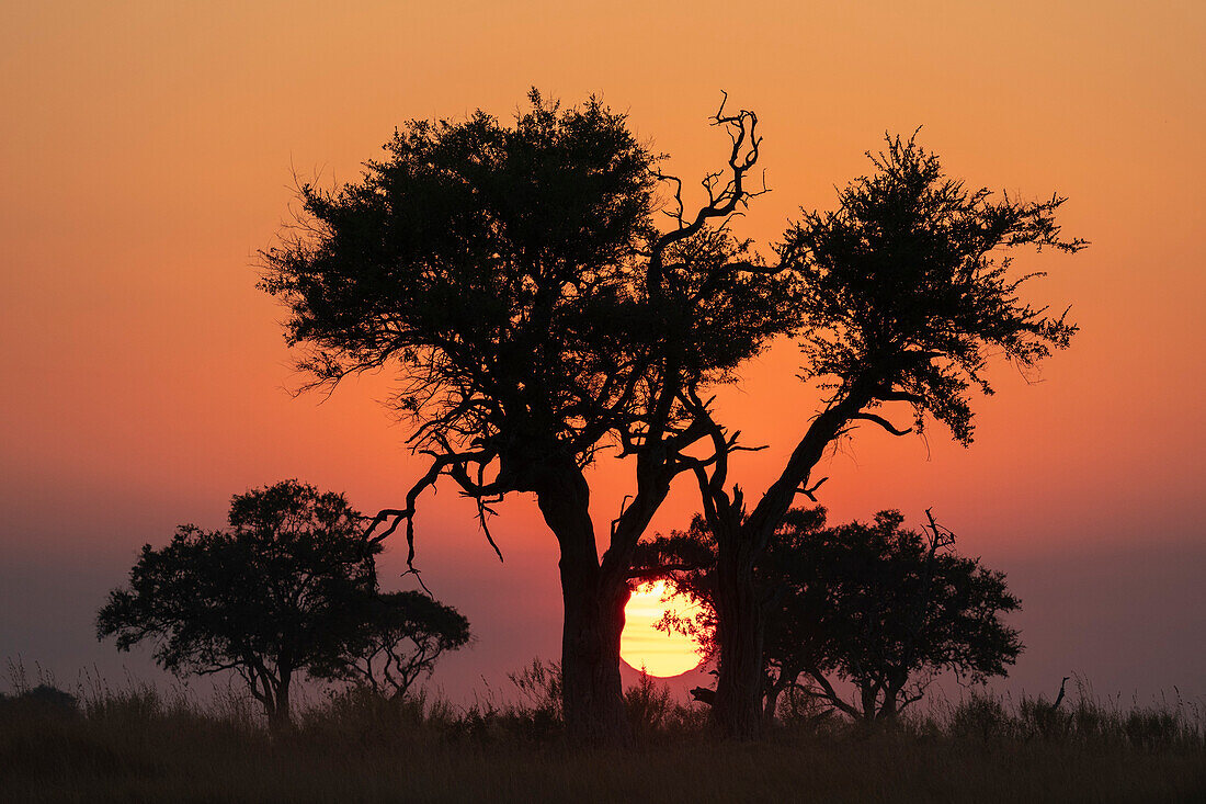 Sonnenuntergang über dem Okavango-Delta, Botswana.