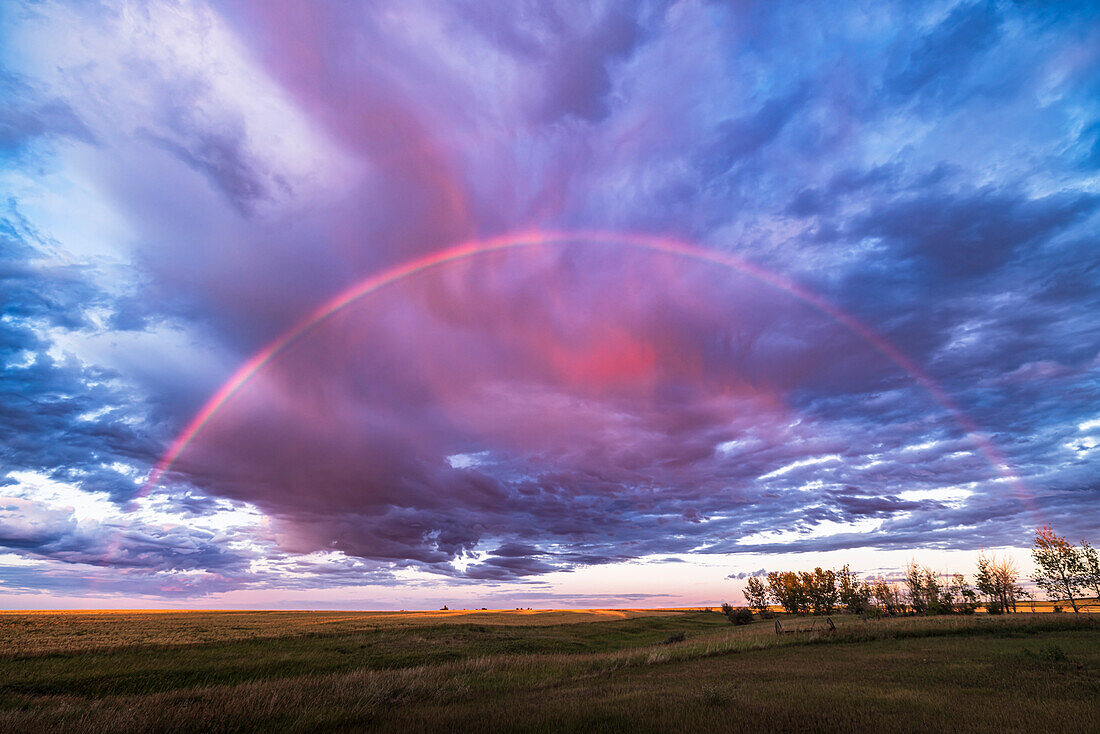 A nearly semi-circular rainbow that appeared briefly right at sunset so the warm lighting made the rainbow appear more red than usual and set amid red clouds,brighter within the rainbow than outside the bow.