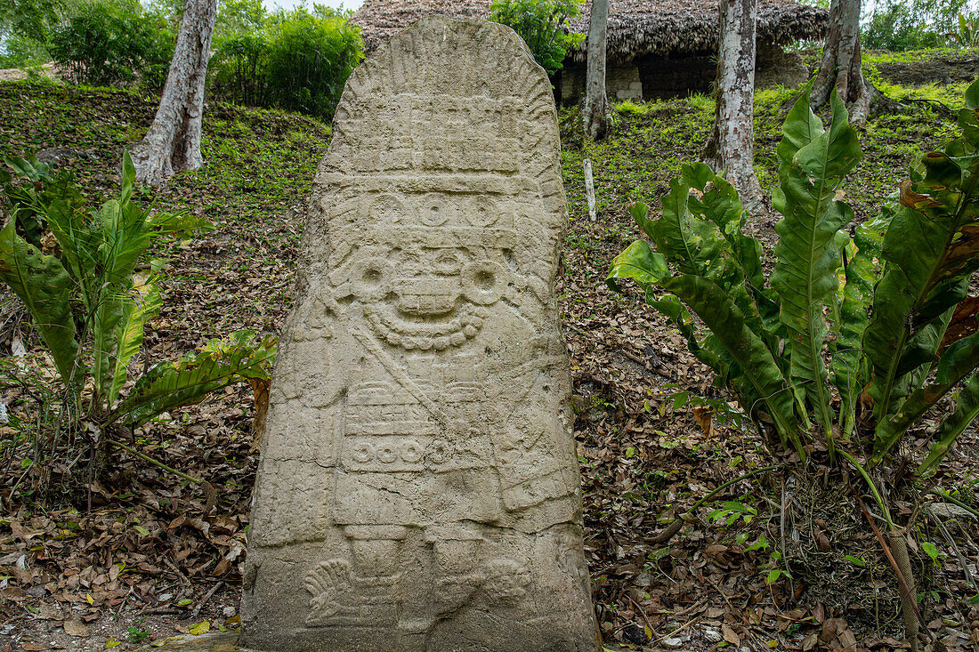 Stele 11 auf der Plaza B in den Maya-Ruinen im Yaxha-Nakun-Naranjo-Nationalpark, Guatemala.
