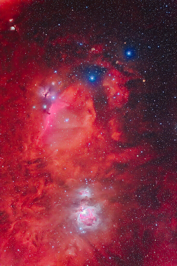 A widefield view of Orion's Belt and Sword showing the complex of nebulosity in the area. The three Belt stars are at top (L to R): Alnitak,Alnilam and Mintaka,with the dark Horsehead Nebula (B33) below Alnitak. Above Alnitak is the pinkish Flame Nebula,NGC 2024. At bottom are Messiers 42 and 43,making up the Orion Nebula,with the bluish Running Man Nebula above it,aka NGC 1973-5-7. Above it is the star cluster NGC 1981. Messier 78 is just on frame at upper left. Numerous other bits of emission and reflection nebulas populate the field amid a backdrop of faint emission nebulosity. The stars ar