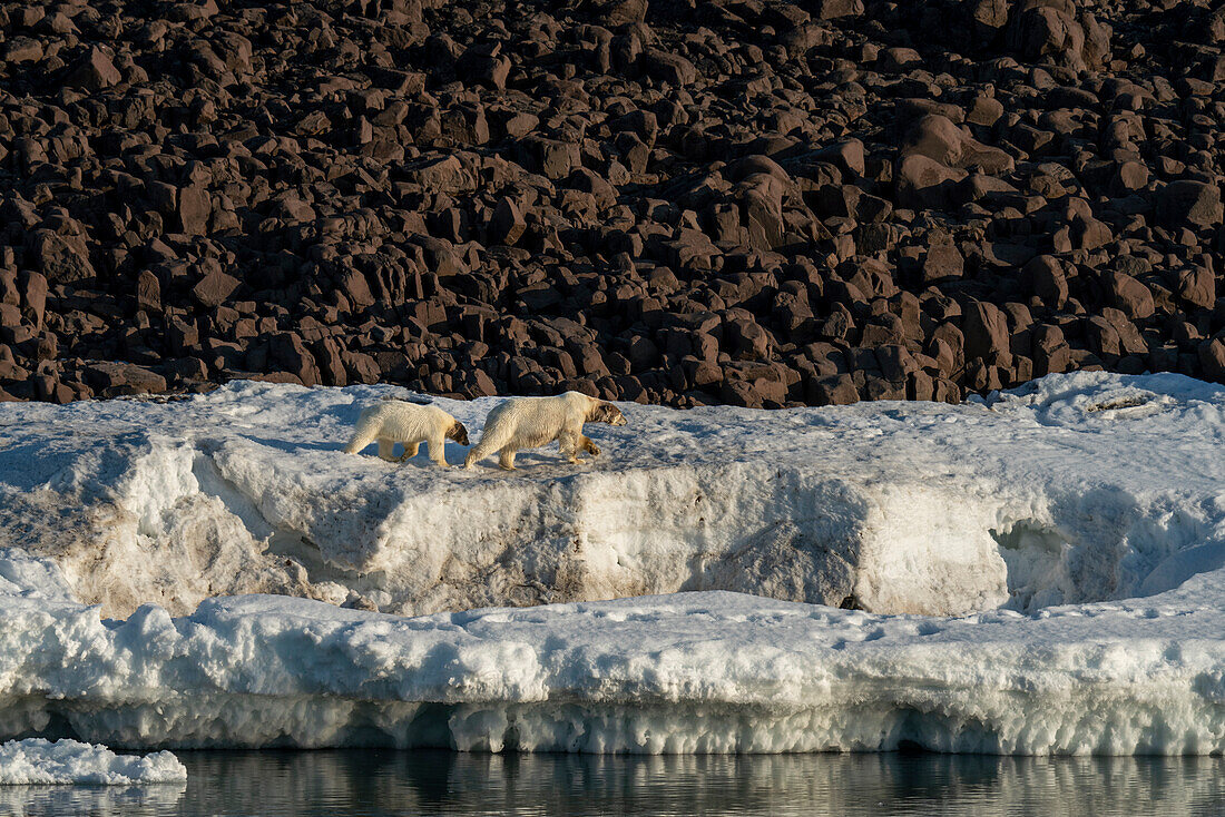 Van Otteroya island,Svalbard Islands,Norway.