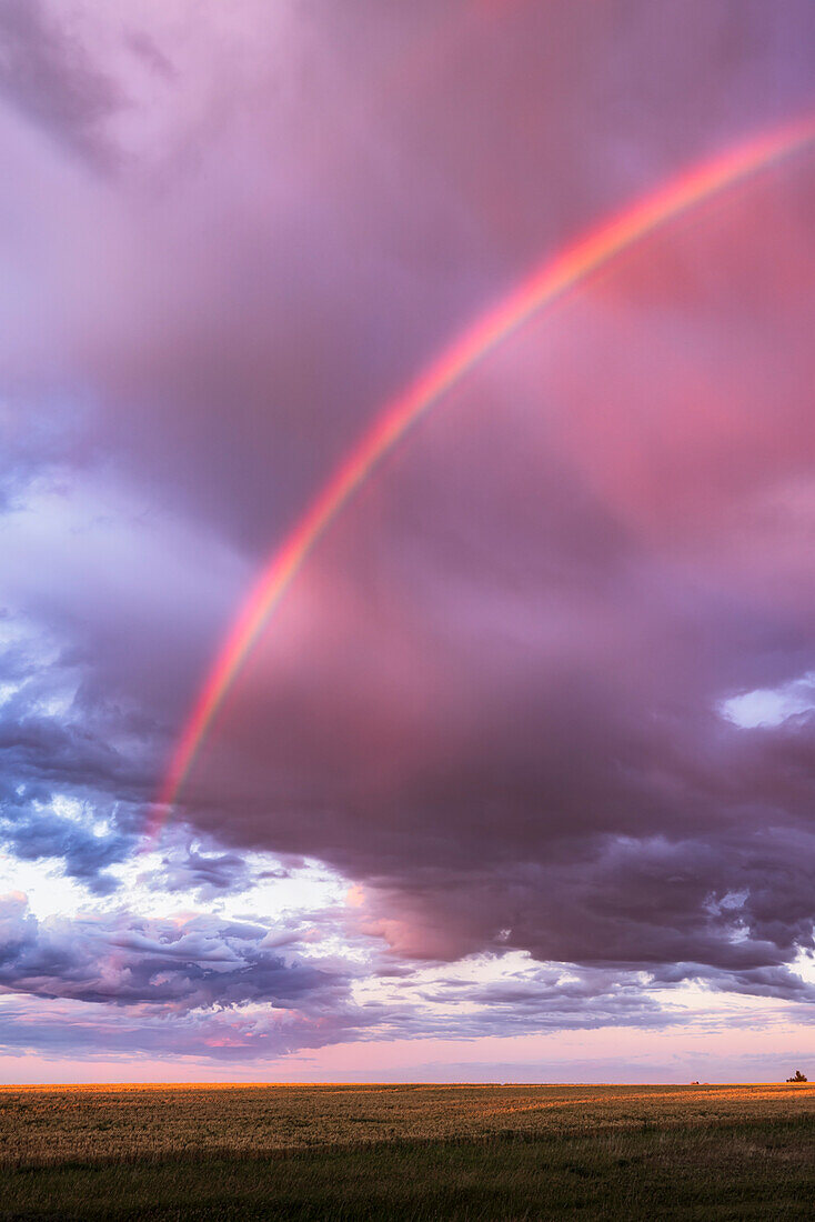 Ein Bogen eines fast halbkreisförmigen Regenbogens, der kurz vor Sonnenuntergang auftauchte, so dass die warme Beleuchtung den Regenbogen röter erscheinen ließ als sonst und inmitten roter Wolken, heller innerhalb des Regenbogens als außerhalb des Bogens.