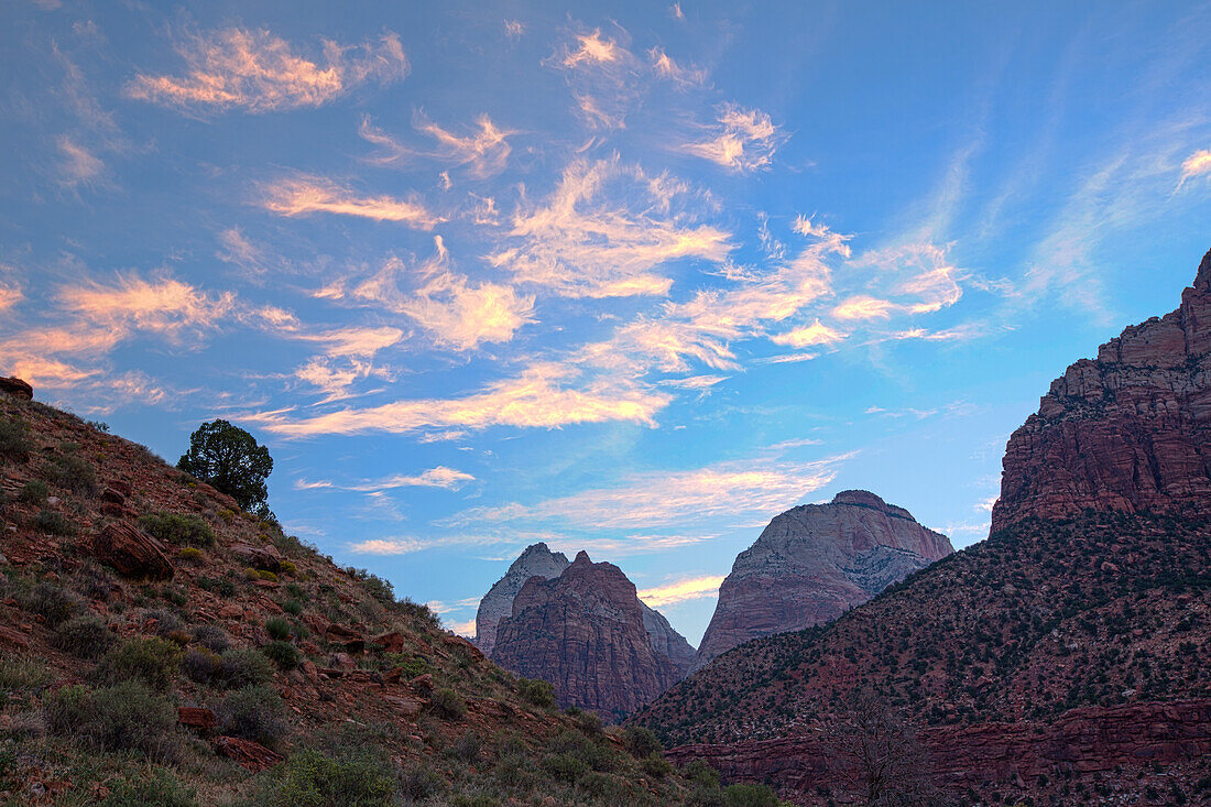 Sonnenaufgangswolken über den Sandsteintürmen des Zion National Park im Südwesten Utahs.