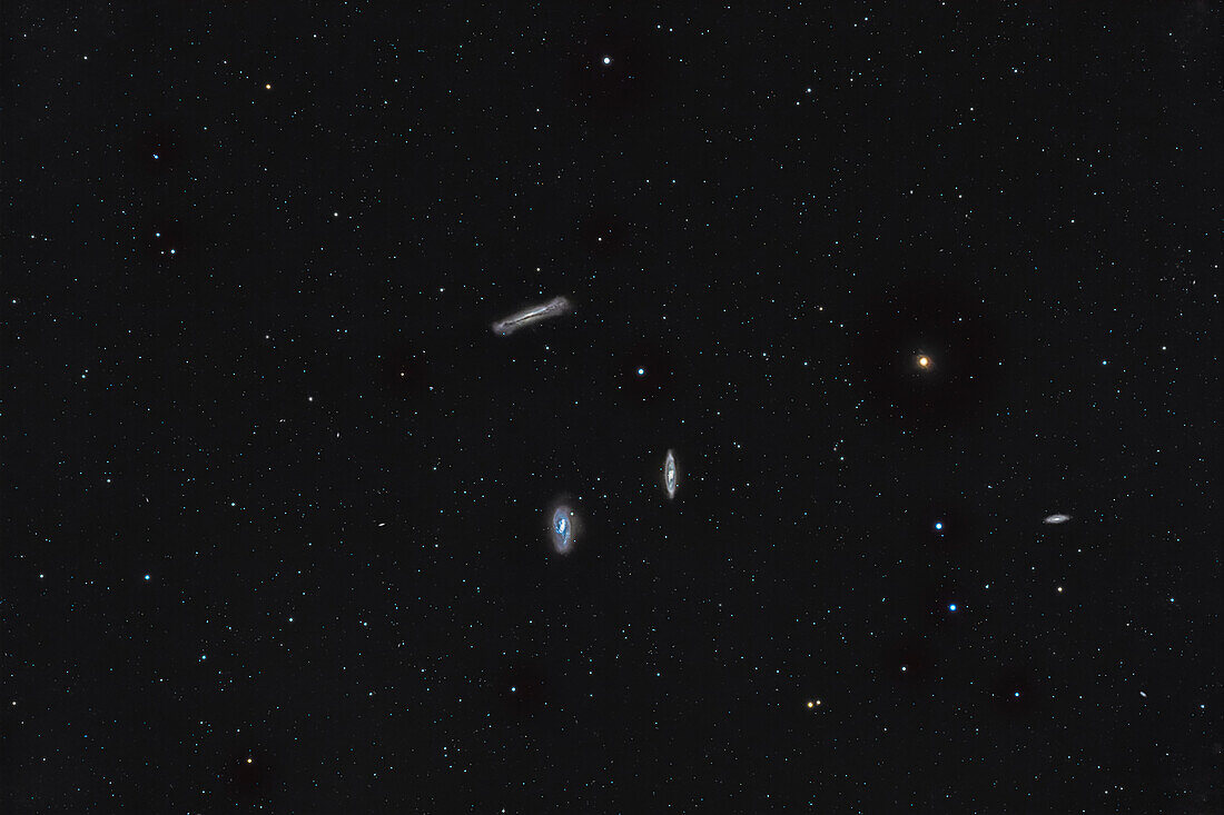 This is the "Leo Trio" or Leo Triplet of spiral galaxies,that includes two Messier galaxies: M65 (lower right),M66 (lower left),along with the edge-on spiral NGC 3628 (top). The galaxy NGC 3593 is at right. A number of other faint 15th-magnitude IC and PGC galaxies are also in the frame as tiny fuzzy spots hard to distinguish from stars at this scale. The Class K3 orange giant star 73 or n Leonis is at right.