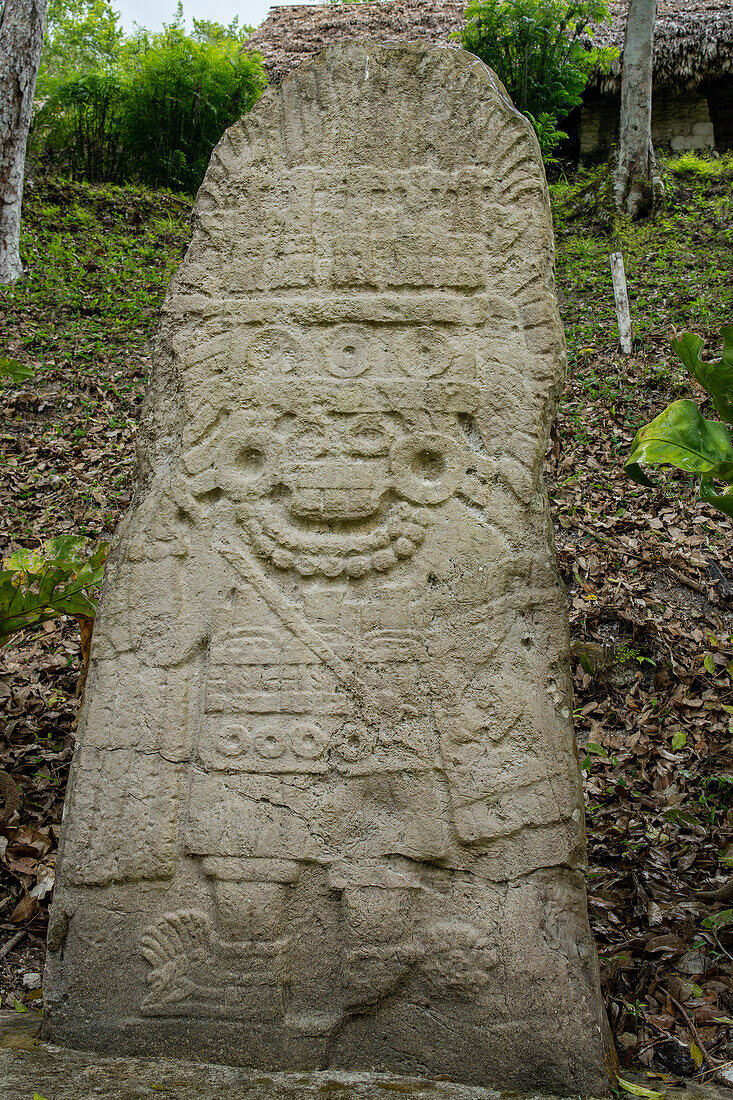 Stela 11 in Plaza B in the Mayan ruins in Yaxha-Nakun-Naranjo National Park,Guatemala.
