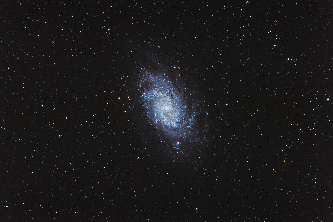 Die Spiralgalaxie Messier 33 der Lokalen Gruppe in Triangulum. Die Galaxie enthält eine Reihe von cyanfarbenen OIII-Nebelregionen.