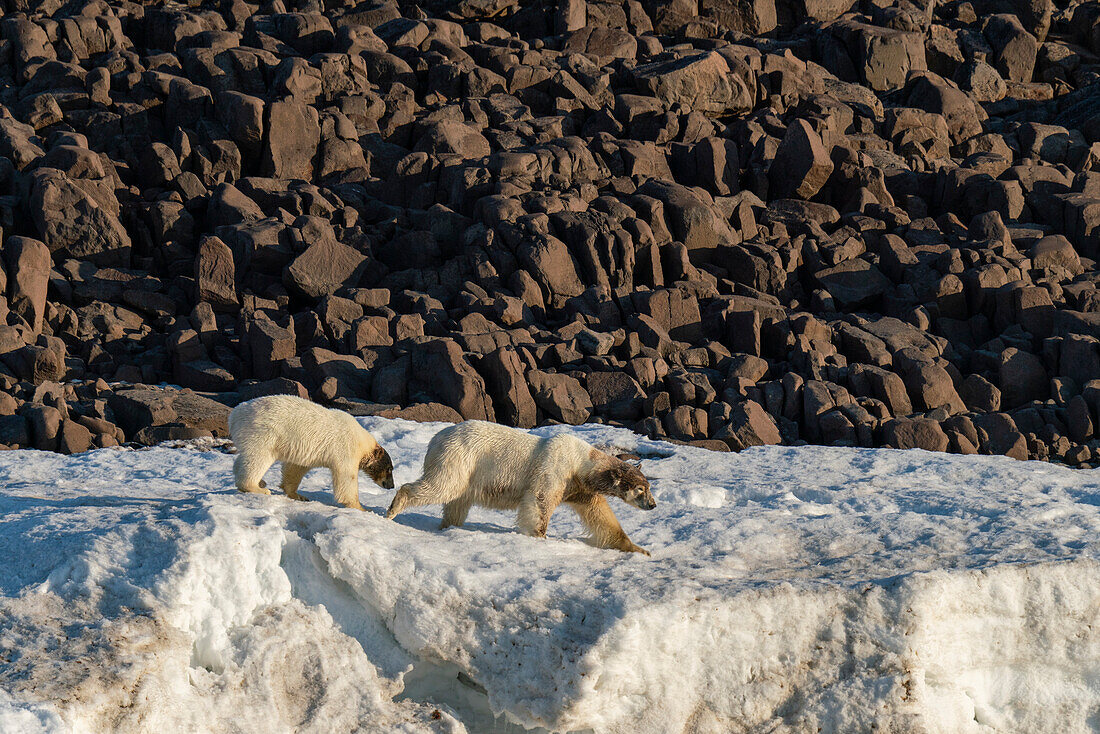 Van Otteroya island,Svalbard Islands,Norway.