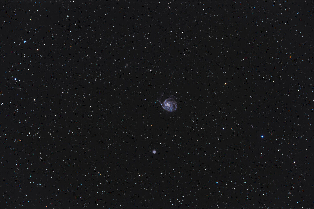 This is a framing of the bright Messier spiral galaxy M101,with a number of its nearby galaxies in Ursa Major. The odd galaxy below M101 ins NGC 5474. NGC 5473,5485 and 5486 are above M101. an edge-on at top centre is NGC 5422,while at the top edge is NGC 5443. The elongated galaxy above the blue star 86 UMa at right is 13th magnitude UGC 8337.