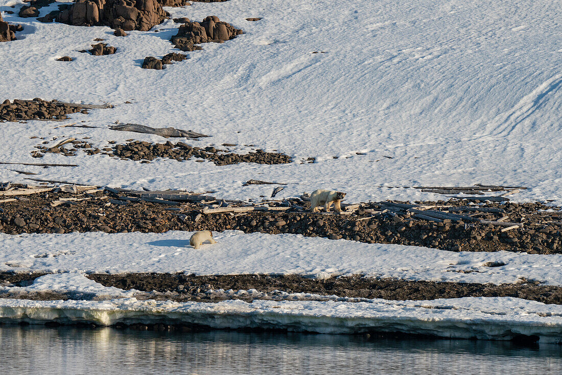 Van Otteroya island,Svalbard Islands,Norway.